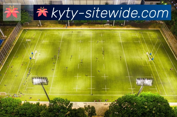 开云平台生态图